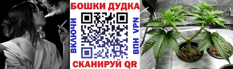Бошки марихуана сатива  как найти закладки  Макаров 